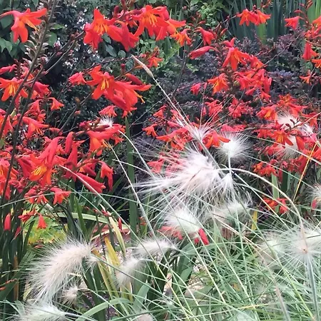 Frühstückspension D'hotes Du Clos Semper Felix 3*