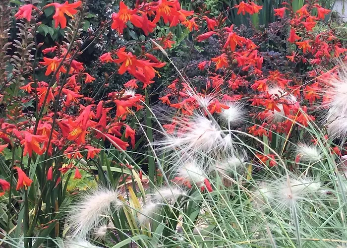 לינה וארוחת בוקר D'hotes Du Clos Semper Felix 3*