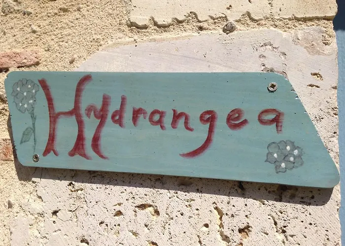 D'hotes Du Clos Semper Felix לינה וארוחת בוקר